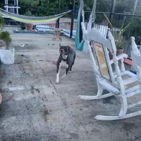 Lorena Surf Hostel San Juan del Sur Buitenkant foto